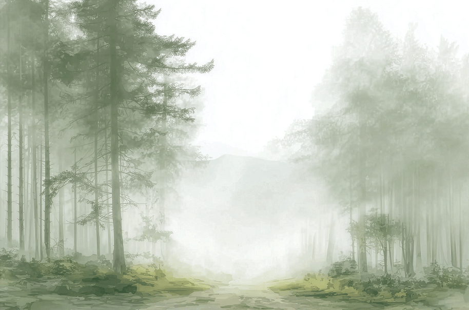 Foggy Passage — fog-layered forest passage on swappable fabric wall art, 36x24 inch format