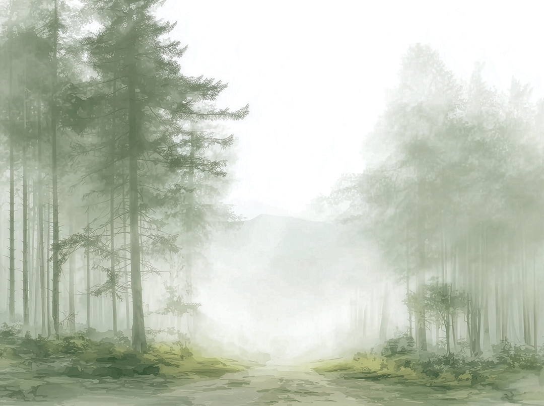 Foggy Passage