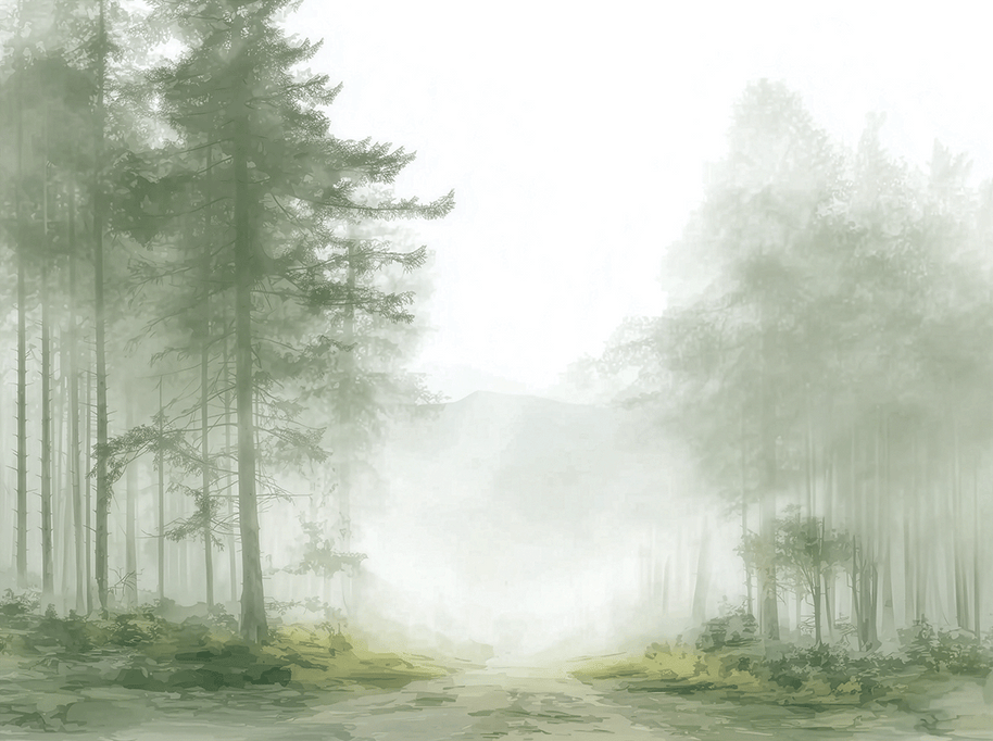 Foggy Passage — fog-layered forest passage on swappable fabric wall art, 40x30 inch format