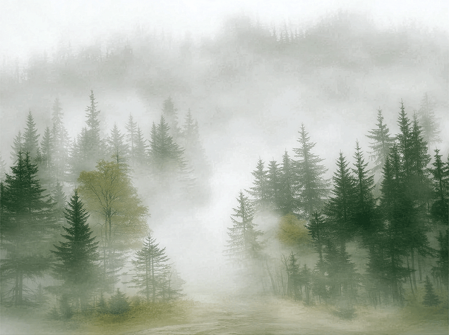 Forest wall art print with layered mist and soft tree silhouettes, calm modern decor