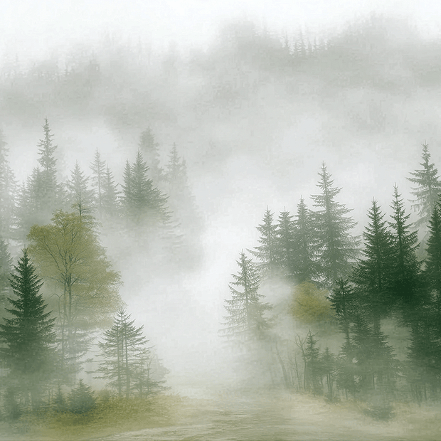 Forest wall art print with layered mist and soft tree silhouettes, calm modern decor
