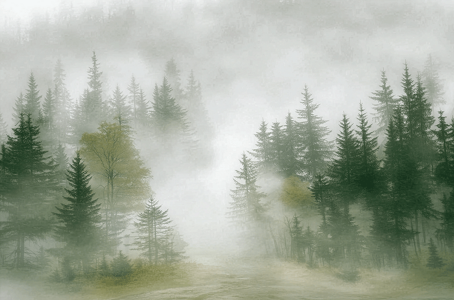 Forest wall art print with layered mist and soft tree silhouettes, calm modern decor