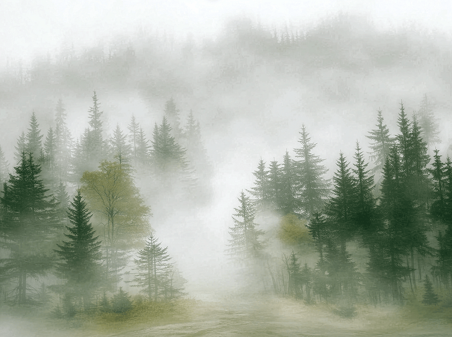 Forest wall art print with layered mist and soft tree silhouettes, calm modern decor