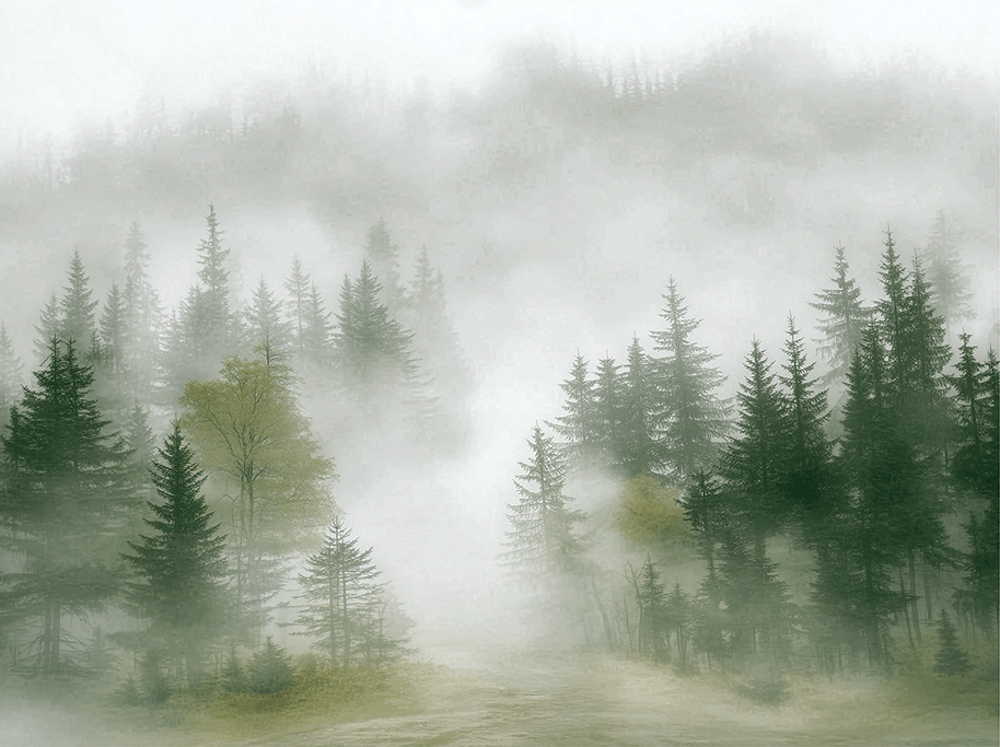 Forest wall art print with layered mist and soft tree silhouettes, calm modern decor