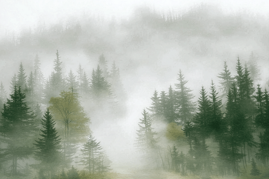 Forest wall art print with layered mist and soft tree silhouettes, calm modern decor