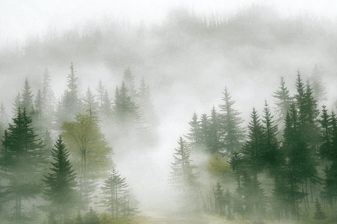 Forest wall art print with layered mist and soft tree silhouettes, calm modern decor