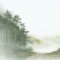 Forest wall art print with misty path and soft trees, calm nature decor for modern home