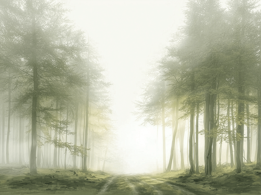 Misty forest wall art print with quiet trail and soft tones, calm nature decor